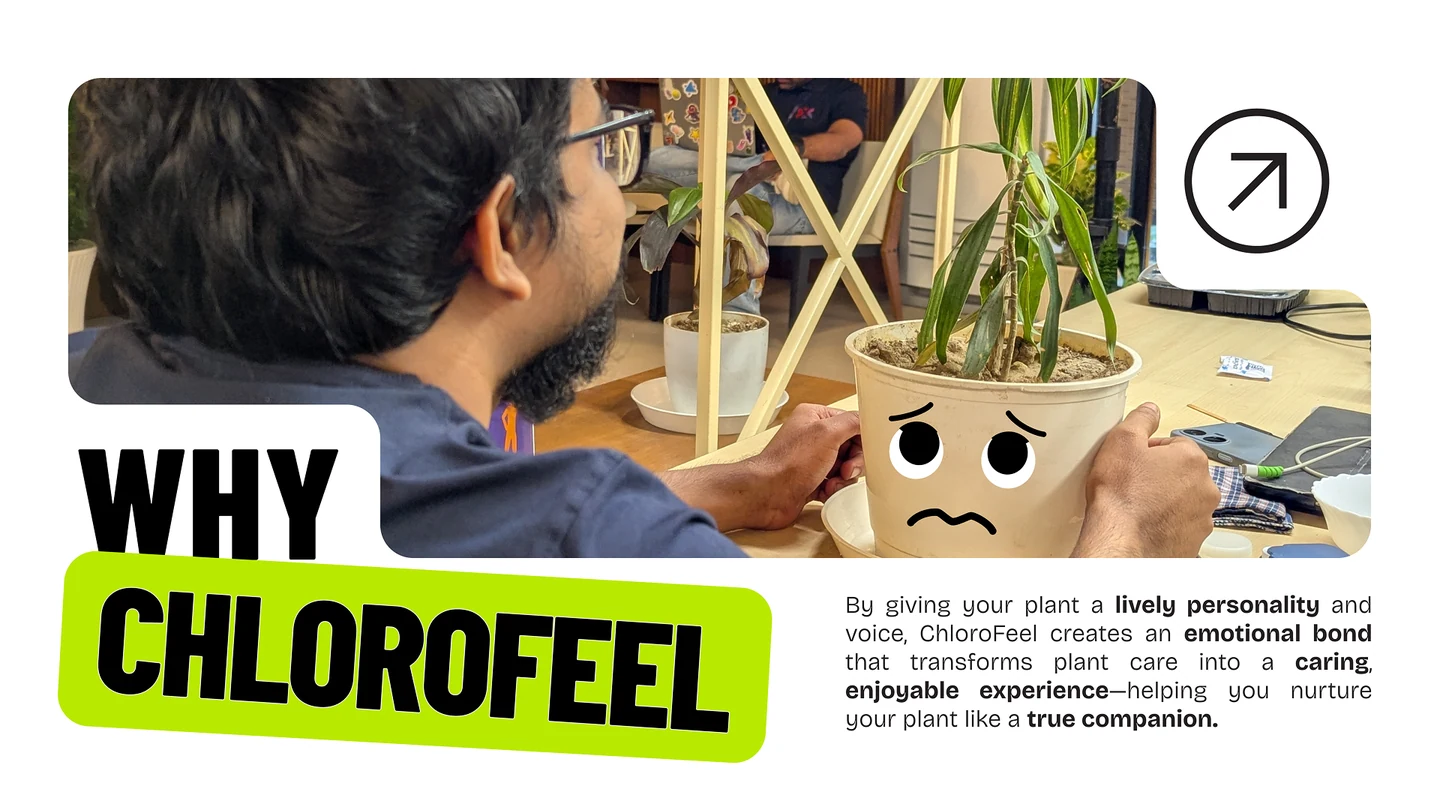 Why ChloroFeel: building an emotional bond through a plant companion.